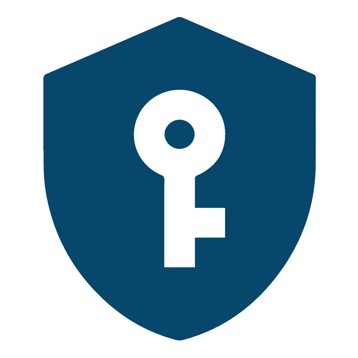 Key and Shield Icon